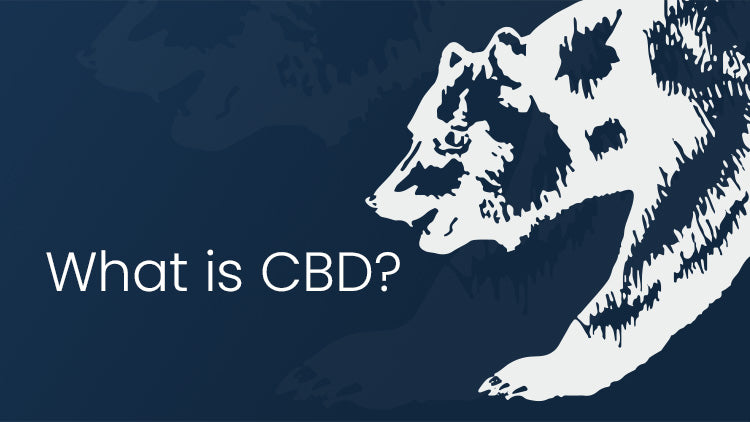 What is CBD? An In-depth Look