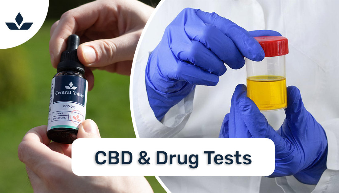 Does CBD Show Up on a Drug Test?