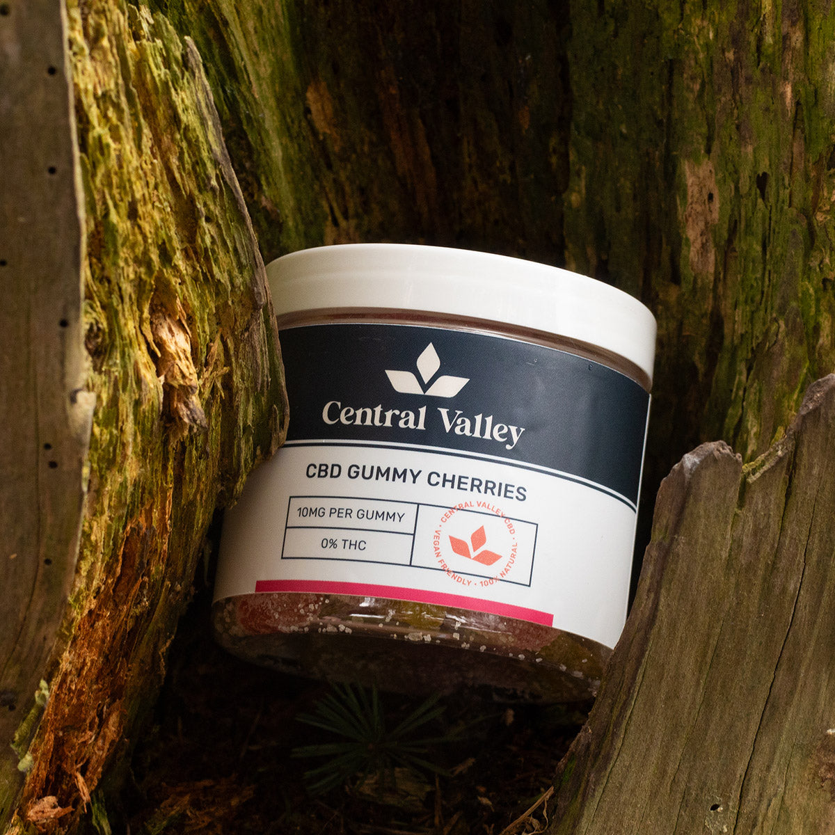 CBD Gummy Cherries Small Tub (10mg)
