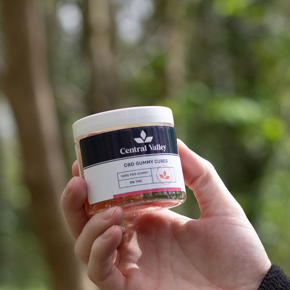 CBD Gummy Cubes Small Tub (10mg)
