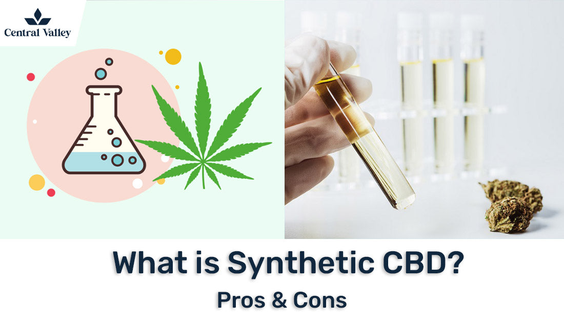 What Is Synthetic CBD? The Pros & Cons