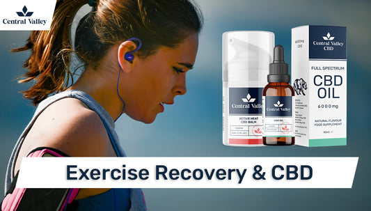 Exercise Recovery: Essentials & CBD Integration