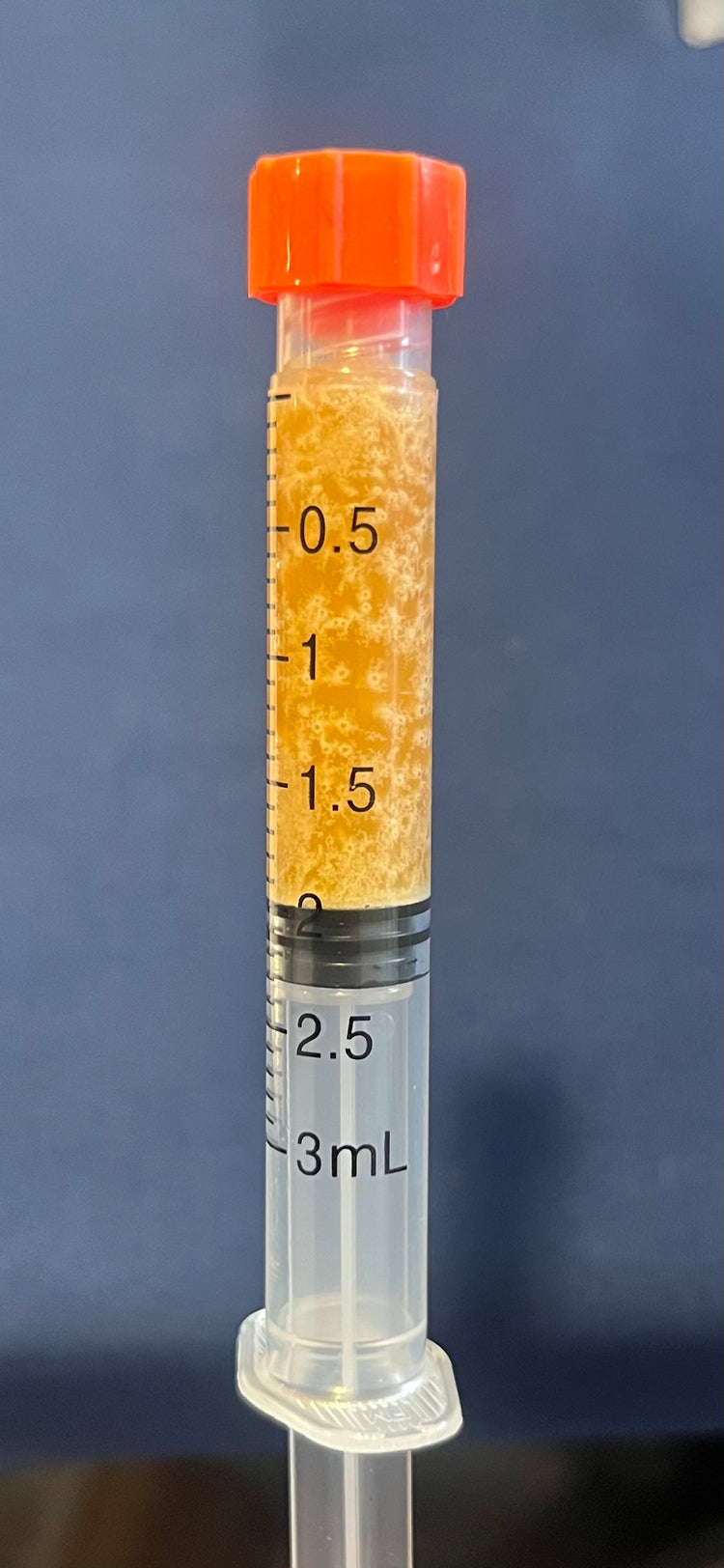 Shop pure CBD extracts, syringes, isolates and tinctures. Lab‑tested, THC non‑detectable options