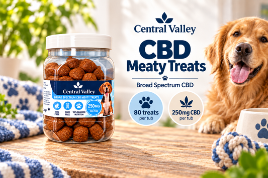 Central Valley CBD Meaty Treats – 80 treats, 250mg CBD per tub
